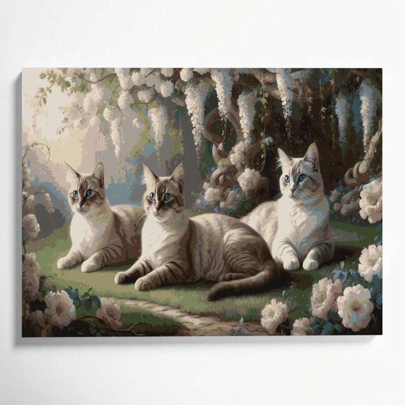 Cats tonkinois gris, art mural sur toile, H 12 po x l 18 po