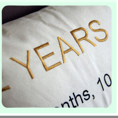 Anniversary Embroidered Decorative Throw Pillow Cover - 2 Year Marriage Celebration - Home Decor - Cover Only