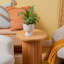 Calathea ''Network'' in Ceramic Planter