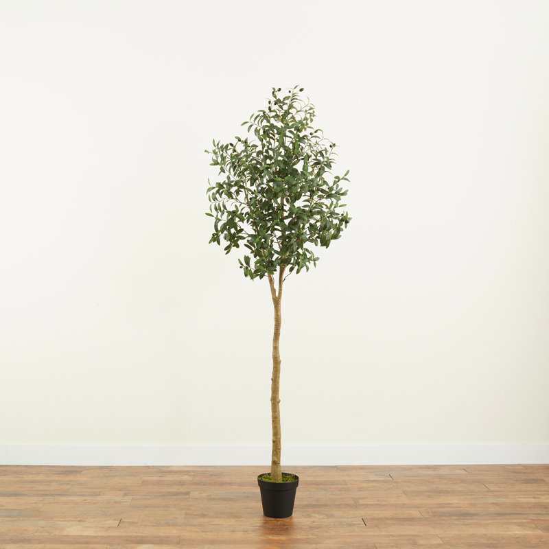 Varela 84'' Faux Olive Tree Tree in Pot