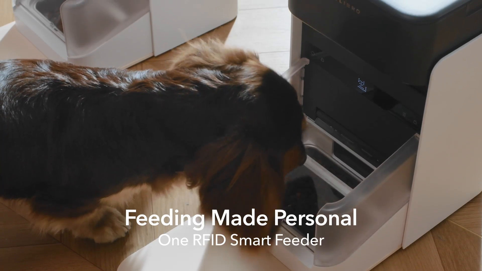 PETLIBRO One RFID Automatic Feeder with Smart APP Control, Coffee