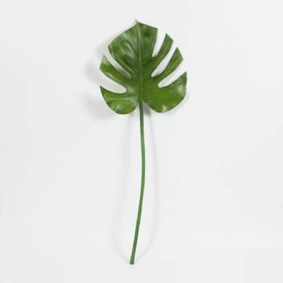 Bourre de vase feuille Dallas