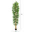 144 po. Faux bambou en pot