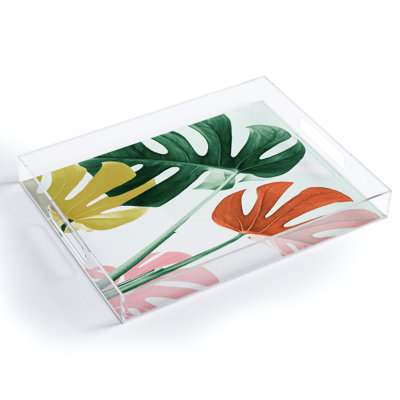 Plastic / Acrylic Tray