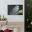 Art mural majestueux Budgie-1645144247
