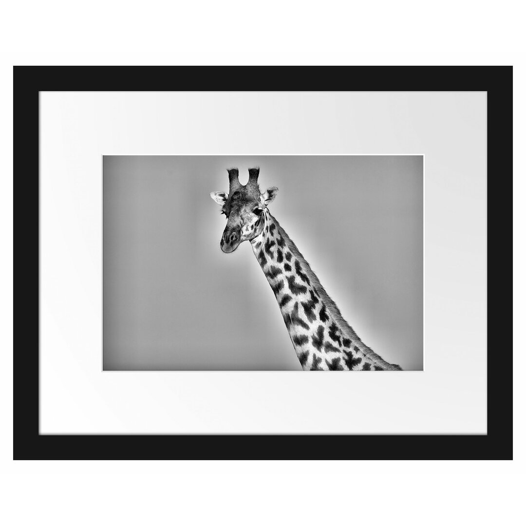 Gerahmtes Poster Majestätische Giraffe