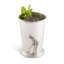 Mint Julep Cup