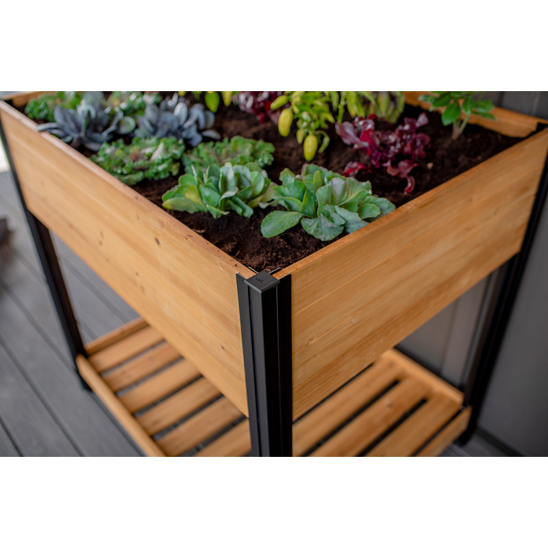 Mezza Cedar Raised Planter, 43.75" H x 40.5" W x 31.25" D