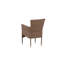 Annalia Aluminium DIning Chair-702898634-702898635