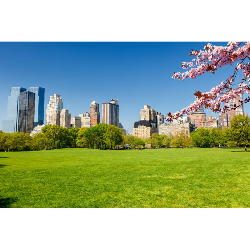 Central Park At Spring by Sborisov - Wrapped Canvas Print, 30cm H x 46cm W
