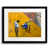 Black Framed Paper selected