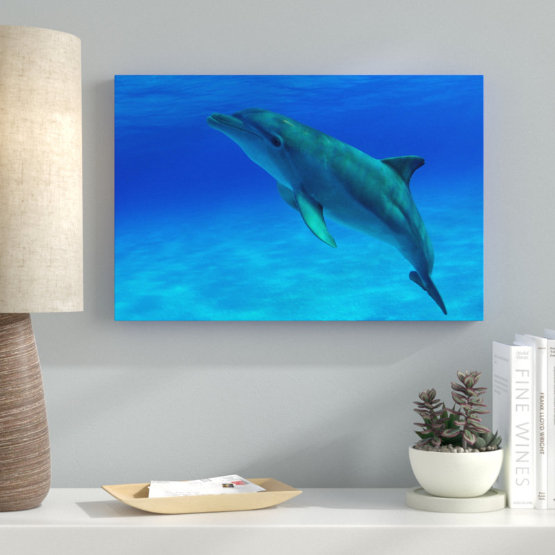 «Bottlenose Dolphin Bahamas» par David Fleetham - reproduction de photo sur toile tendue, H 10 po x l 15 po x P 1,5 po