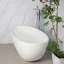 Baignoire de trempage autoportante 65,2 pouces