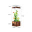 Aquarium 19,69 po-1278003719
