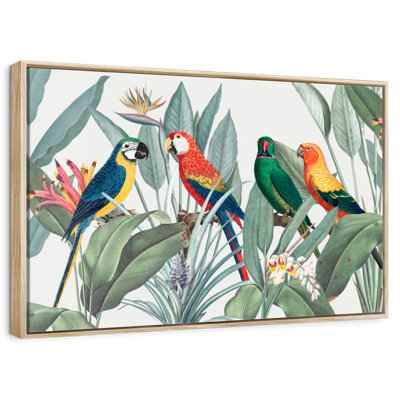 Perroquets de safari tropical
