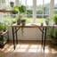 Santa Marta - Petite console-129731727