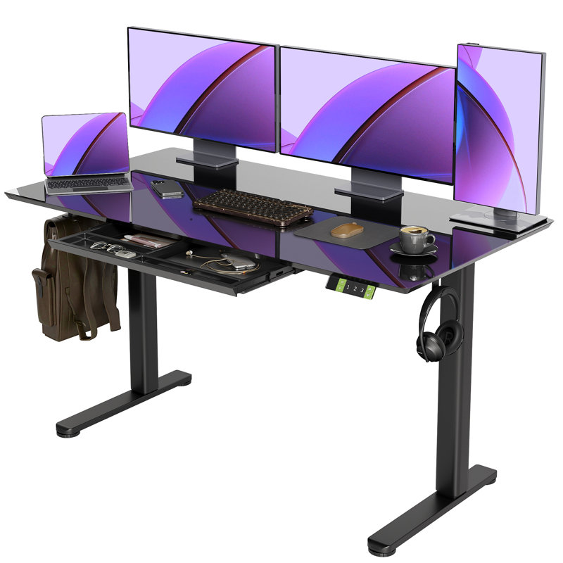 55-inch Electric Standing Desk with a Multi-Functional drawer, Wide Height Adjustment with 4 Memory Preset - Black, Black