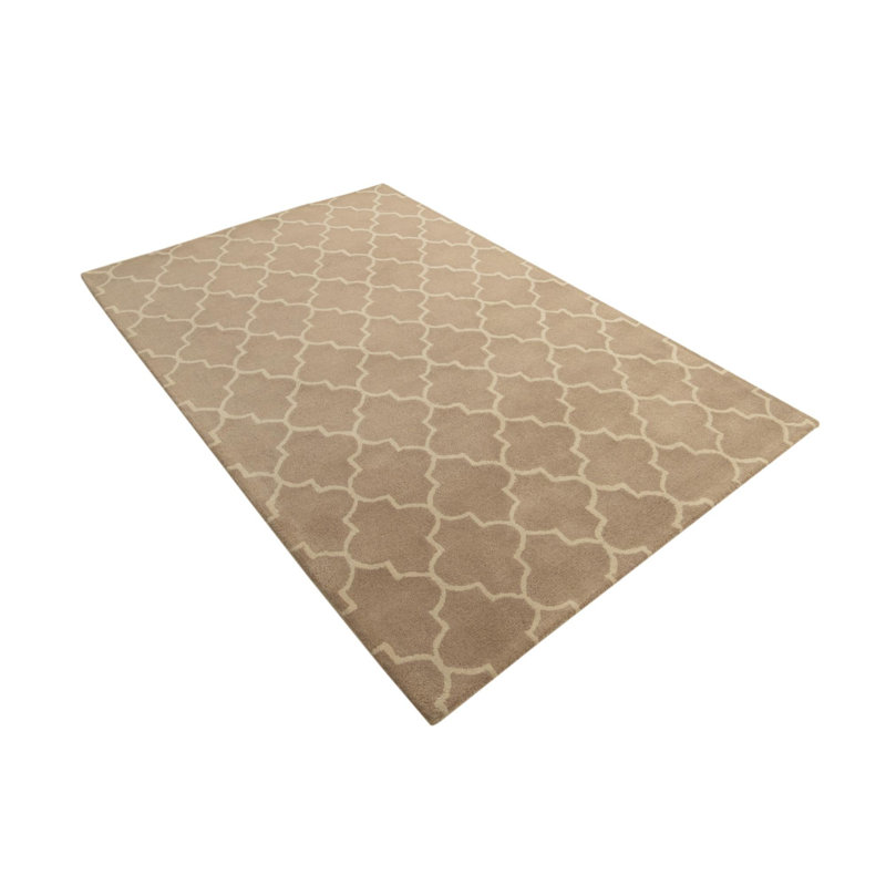 Tapis taupe 5 x 8