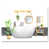 Toile tendue