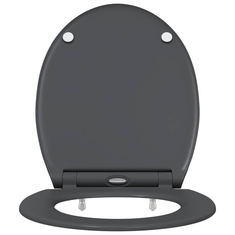 Anthracite Plastic Standard Adjustable Armrests Toilet Seat, Anthracite