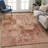 Machine Washable Indoor/Outdoor Earleville ACN2360 Casual Rug-542681423