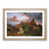Oak Framed