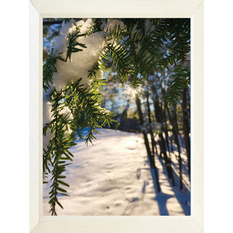 Couverture hivernale - photographie, Pas de tapis, H 26,5 po x l 20,5 po x P 1,25 po, Papier encadré blanc