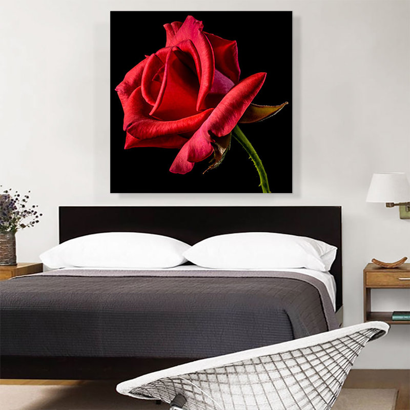 «Red Rose Home Decor», reproduction de photo sur toile tendue, H 36 po x l 36 po x 1,5 po
