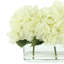 Hydrangeas Arranged in Clear Glass Vase-1541245386