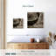 Boussole Aletra-109391684