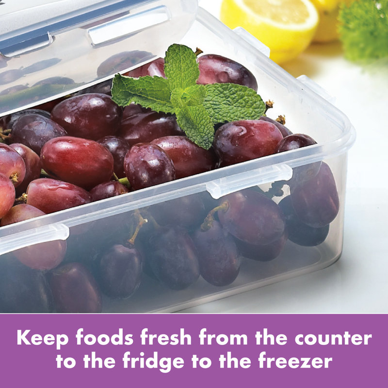 Easy Essentials™ 54oz. Food Storage Container