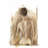 Figure Study I by Ethan Harper - Wrapped Canvas Painting-1868270048