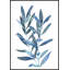 Reproduction d'art encadrée, «Indigo Leaves III»-1526839491-1571337423