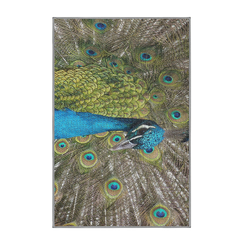 Tapis mâle mâle 1 paon, Rectangle 4 pi x 6 pi