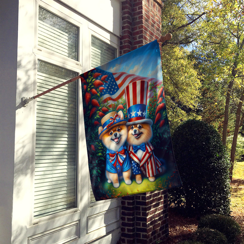 Drapeau «All American House», Loulou de Poméranie