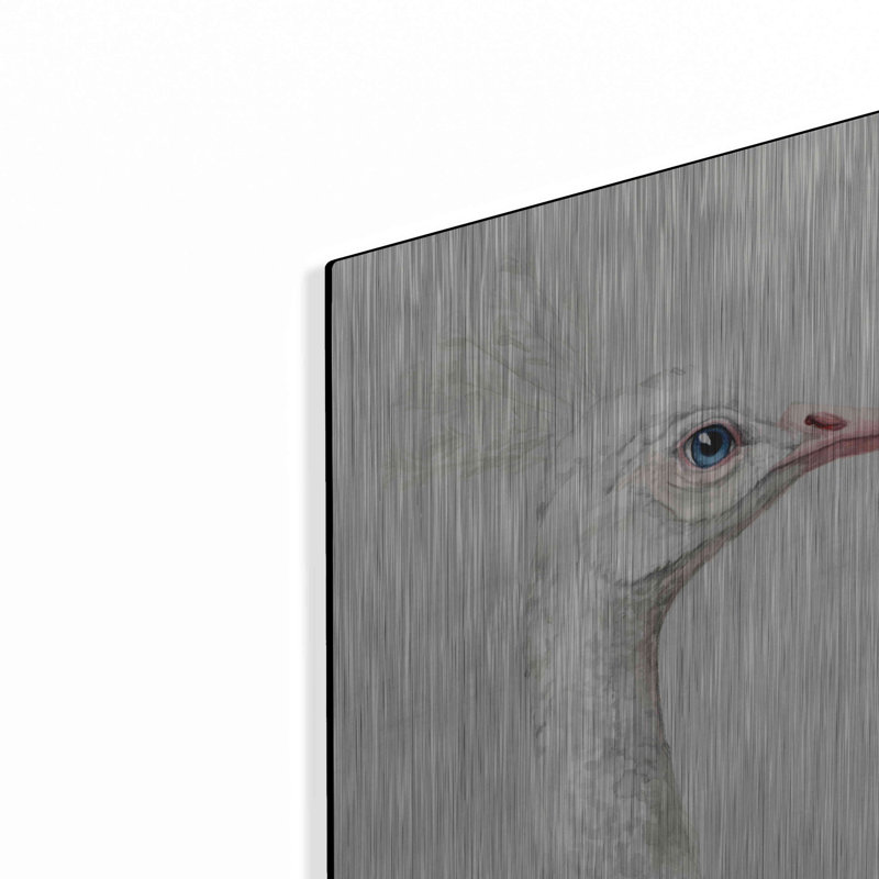 «Alpine Peacock I» par Grace Popp, H 16 po x l 12 po