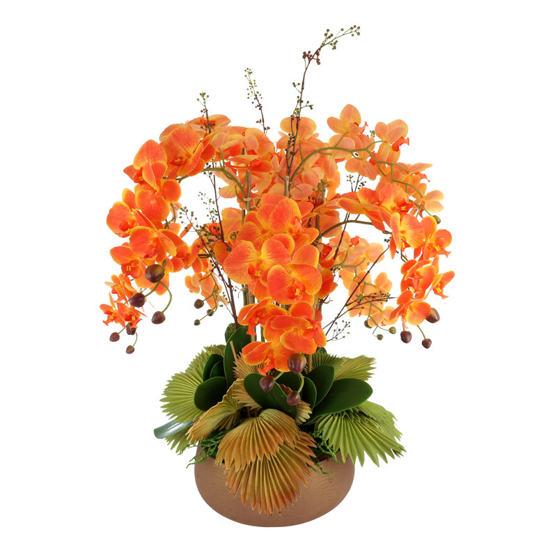 Orchids Arranged in Fiberstone Planter, Orange/Green