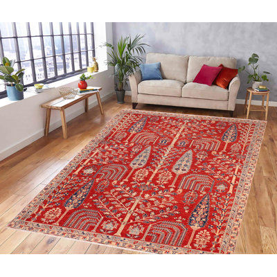 Baccio Wool Oriental Indoor Rug