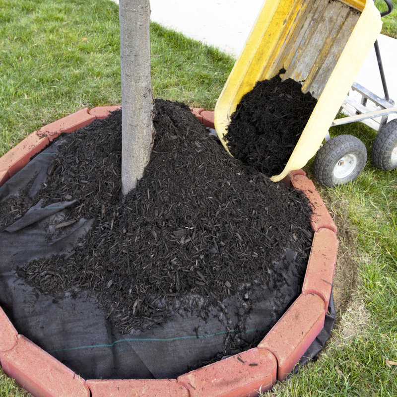 Weather Resistant Weed Control