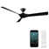 58" Torque 3 - Blade Outdoor/Indoor Smart Ceiling Fan with Remote Control Included, Works With Alexa and iOS or Android App