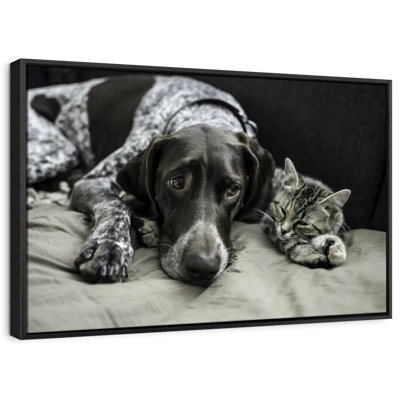 Animal «Dog and Cat Friends Wall Art»