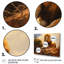 Lion en plein air II, reproduction d'art sur toile-936996688-936996714