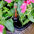 2-Pack Self-Watering Planter - Hand Woven