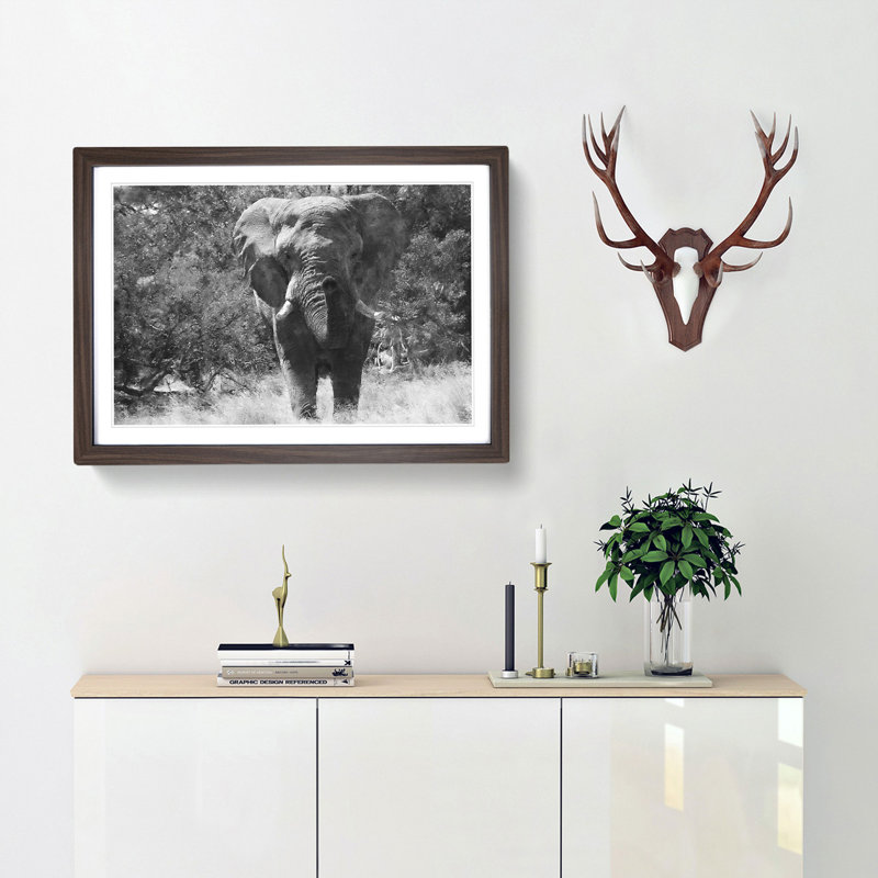 The Majestic Elephant - Framed Print, Walnut, 33cm H x 45cm W x 2cm D
