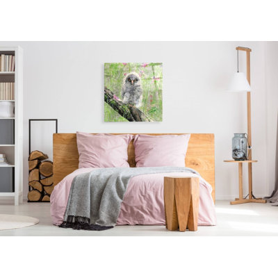 Loon Peak® «Owlet» par River Han, art mural en verre acrylique