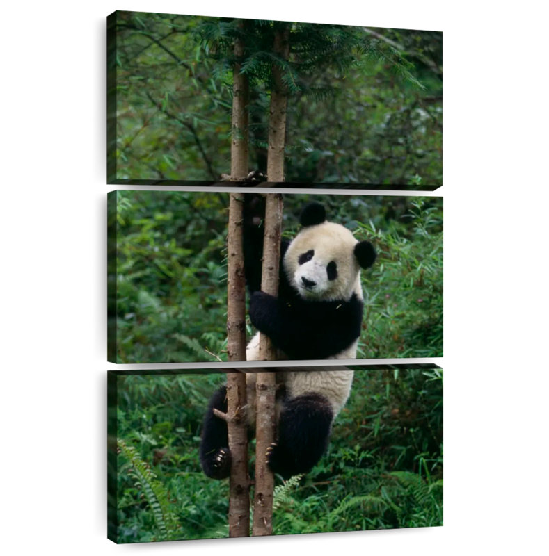 Brampt Climbing Panda, 32" H x 20" W