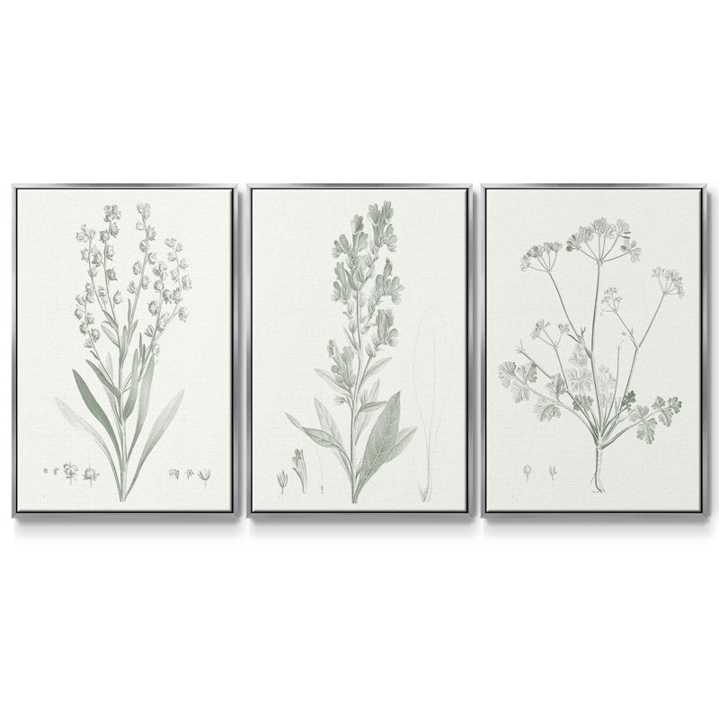 Étude botanique en sauge I 3 pièces, H 36 po x l 72 po, Argent