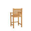 Elzas Outdoor Teak Bar Stool