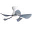 74cm Ceiling Fan with LED Lights-1015486511-1015486504