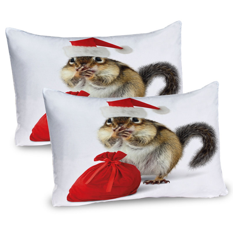 Ensemble de 2 taies décoratives avec chapeau de père Noël Ambesonne, H 20 po x l 36 po